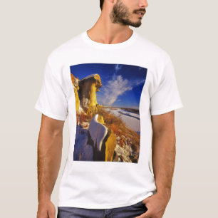 Winter entlang dem Missouri River bei T-Shirt