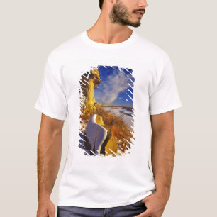 Winter entlang dem Missouri River nahe T-Shirt