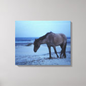 Winter Equine Solitude Leinwanddruck (Vorderseite)