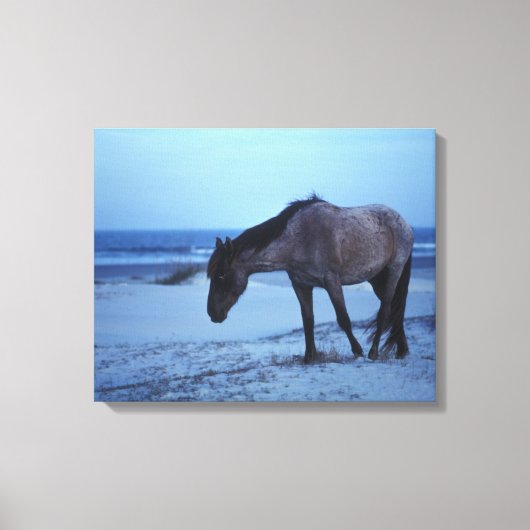 Winter Equine Solitude Leinwanddruck (Vorderseite)