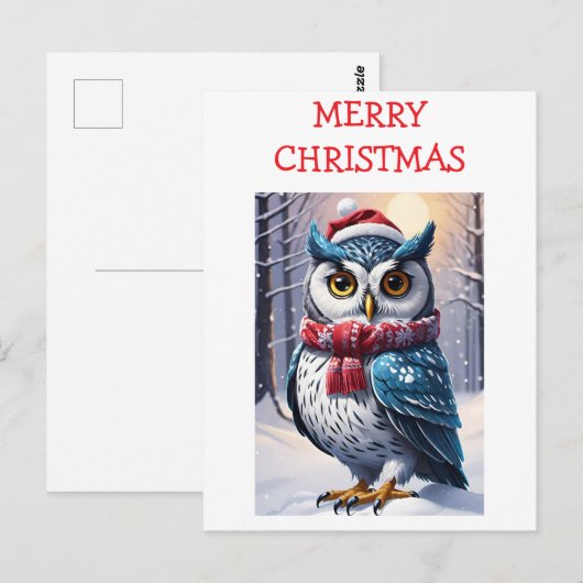 Winter-Eulen-Weihnachtswünsche Postkarte (Vorne/Hinten)