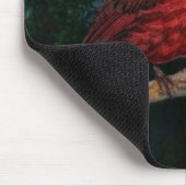 Winter Evergreen Primitive Christmas Red Kardinal Mousepad (Ecke)
