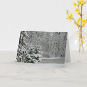 Winter Evergreens Notecard Karte (Gelbe Blume)