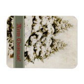 Winter Evergreens Vintag Magnet (Horizontal)