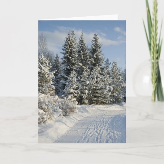 Winter Feiertagskarte (Vorderseite)