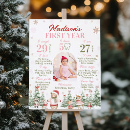 Winter Forest Animal Girl Birthday Milestone Photo Poster