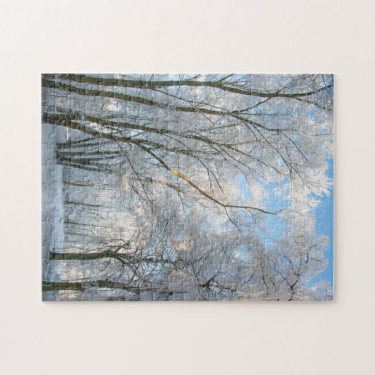 Winter Forest Path Walk, 252 Stücke Jigsaw Puzzle (Horizontal)