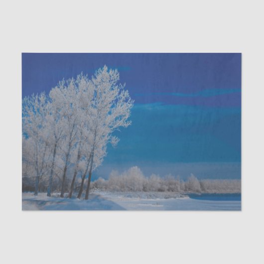 Winter Forest Trees Snow Blue Sky Nature Seidenpapier (Vorderseite)