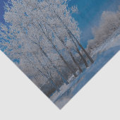 Winter Forest Trees Snow Blue Sky Nature Seidenpapier (Ausschnitt)