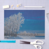 Winter Forest Trees Snow Blue Sky Nature Seidenpapier (Handwerk)