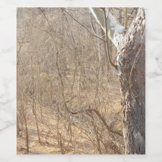 winter forest weinetikett (Einzelnes Label)