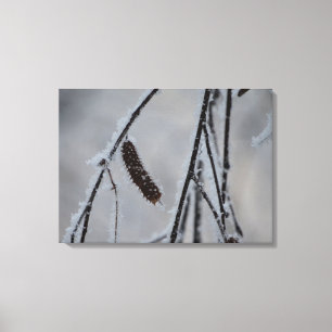 Winter-Foto-Leinwand-Druck Leinwanddruck