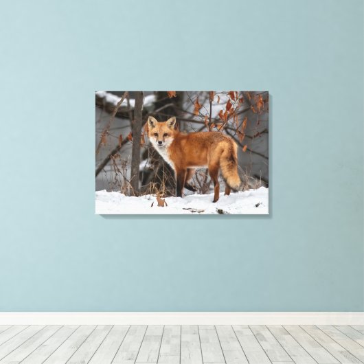 Winter Fox Canvas Print Leinwanddruck (Insitu (Holzboden))