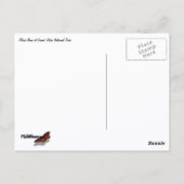 Winter Fox Postkarte (Rückseite)