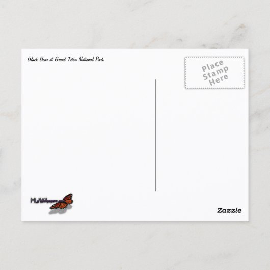 Winter Fox Postkarte (Rückseite)