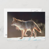 Winter Fox Trots Postkarte (Vorne/Hinten)