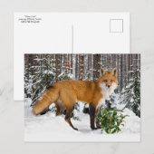 "Winter Fox" Urlaubspostkarte Postkarte (Vorne/Hinten)