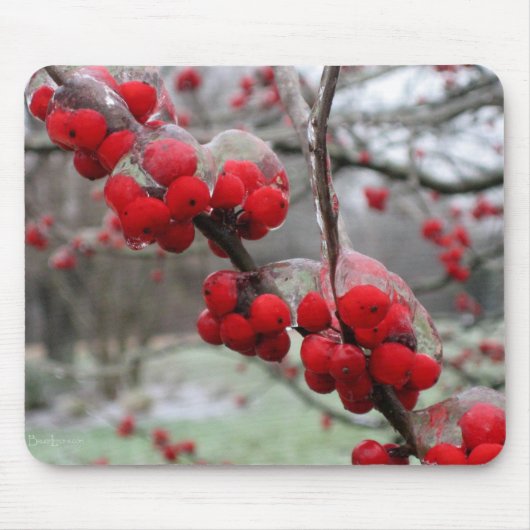 Winter Freeze and Ice on Red Berries Mousepad (Vorne)