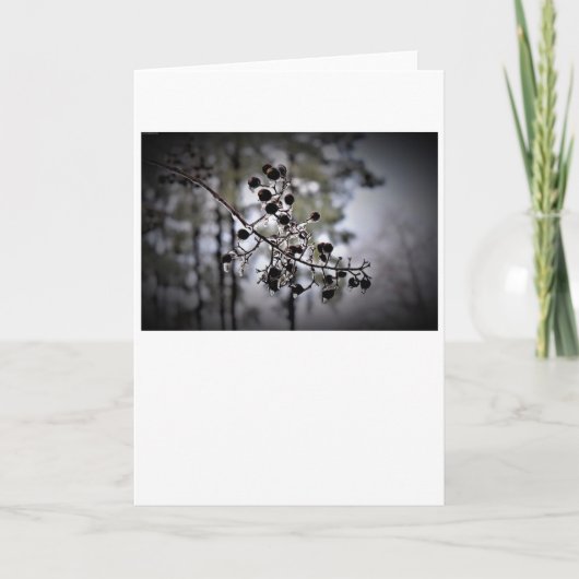 Winter Freeze, Karte (Vorderseite)