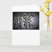 Winter Freeze, Karte (Gelbe Blume)