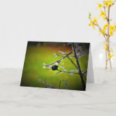 Winter Freeze, Karte (Gelbe Blume)