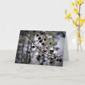 Winter Freeze, Karte (Gelbe Blume)