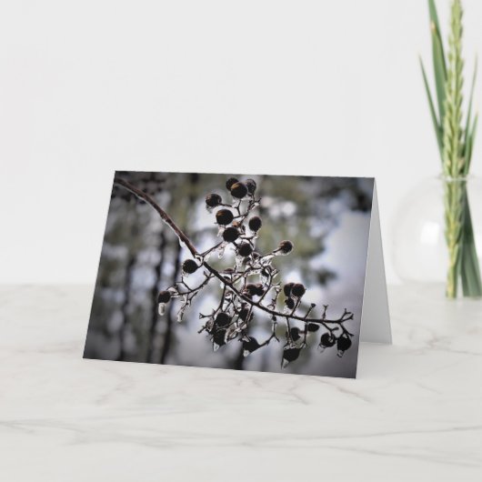 Winter Freeze, Karte (Vorderseite)