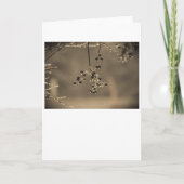 Winter Freeze, Karte (Vorderseite)