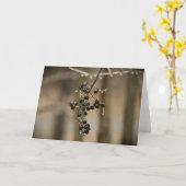 Winter Freeze, Karte (Gelbe Blume)