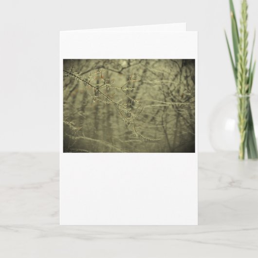 Winter Freeze, Karte (Vorderseite)