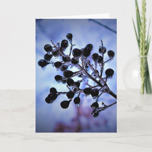 Winter Freeze, Karte (Vorderseite)