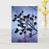 Winter Freeze, Karte (Gelbe Blume)