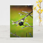 Winter Freeze, Karte (Gelbe Blume)