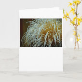 Winter Freeze, Karte (Gelbe Blume)