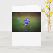 Winter Freeze, Karte (Gelbe Blume)