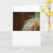 Winter Freeze, Karte (Gelbe Blume)