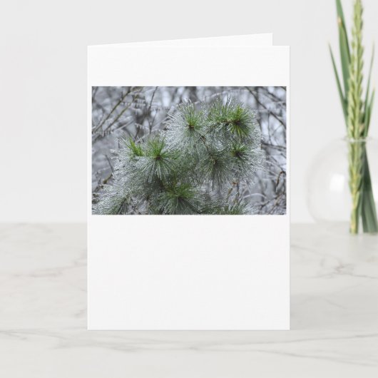 Winter Freeze, Karte (Vorderseite)