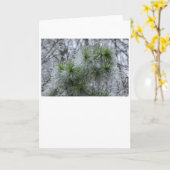 Winter Freeze, Karte (Gelbe Blume)