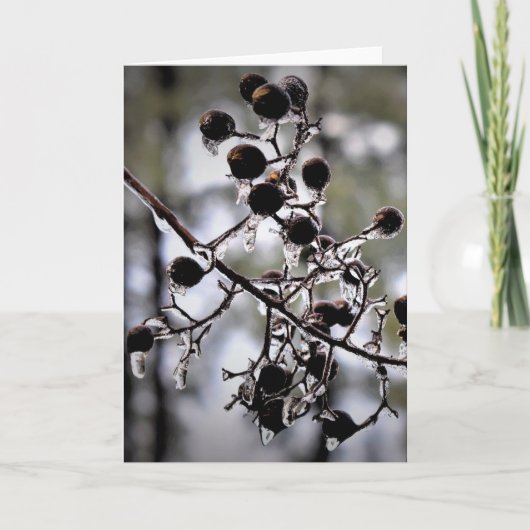 Winter Freeze, Karte (Vorderseite)