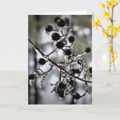 Winter Freeze, Karte (Gelbe Blume)