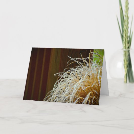 Winter Freeze, Karte (Vorderseite)