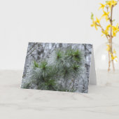 Winter Freeze, Karte (Gelbe Blume)