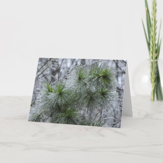 Winter Freeze, Karte (Vorderseite)