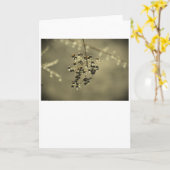 Winter Freeze, Karte (Gelbe Blume)