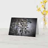 Winter Freeze, Karte (Gelbe Blume)