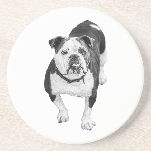 Winter-Freund, Bulldog-Getränkuntersetzer Getränkeuntersetzer (Vorne)