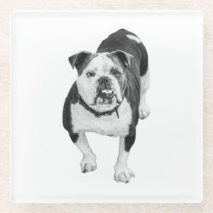 Winter-Freund, Bulldog-Getränkuntersetzer Glasuntersetzer