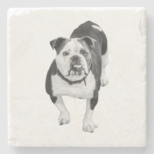 Winter-Freund, Bulldog-Unterlage Steinuntersetzer (Vorderseite)