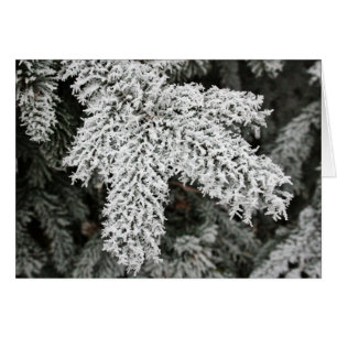 Winter Frost