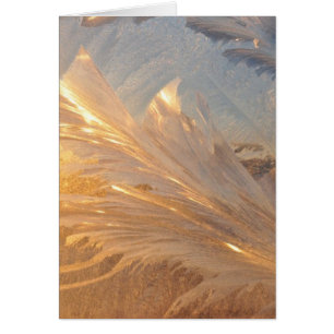 Winter Frost on Glass